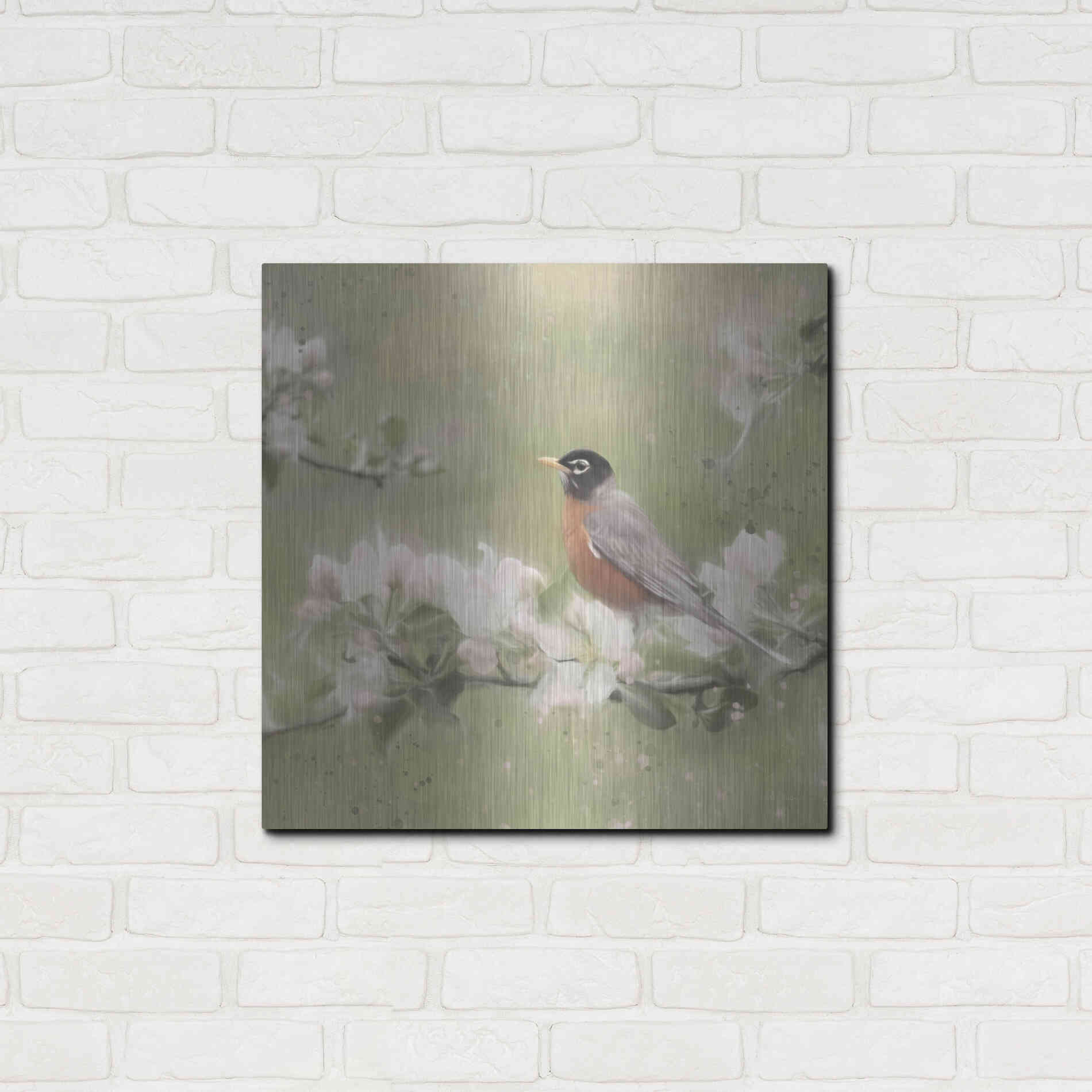 Luxe Metal Art 'Springtime Robin' by Lori Deiter, Metal Wall Art,24x24