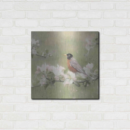 Luxe Metal Art 'Springtime Robin' by Lori Deiter, Metal Wall Art,24x24