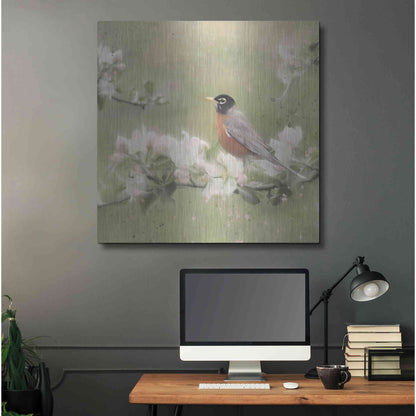 Luxe Metal Art 'Springtime Robin' by Lori Deiter, Metal Wall Art,36x36