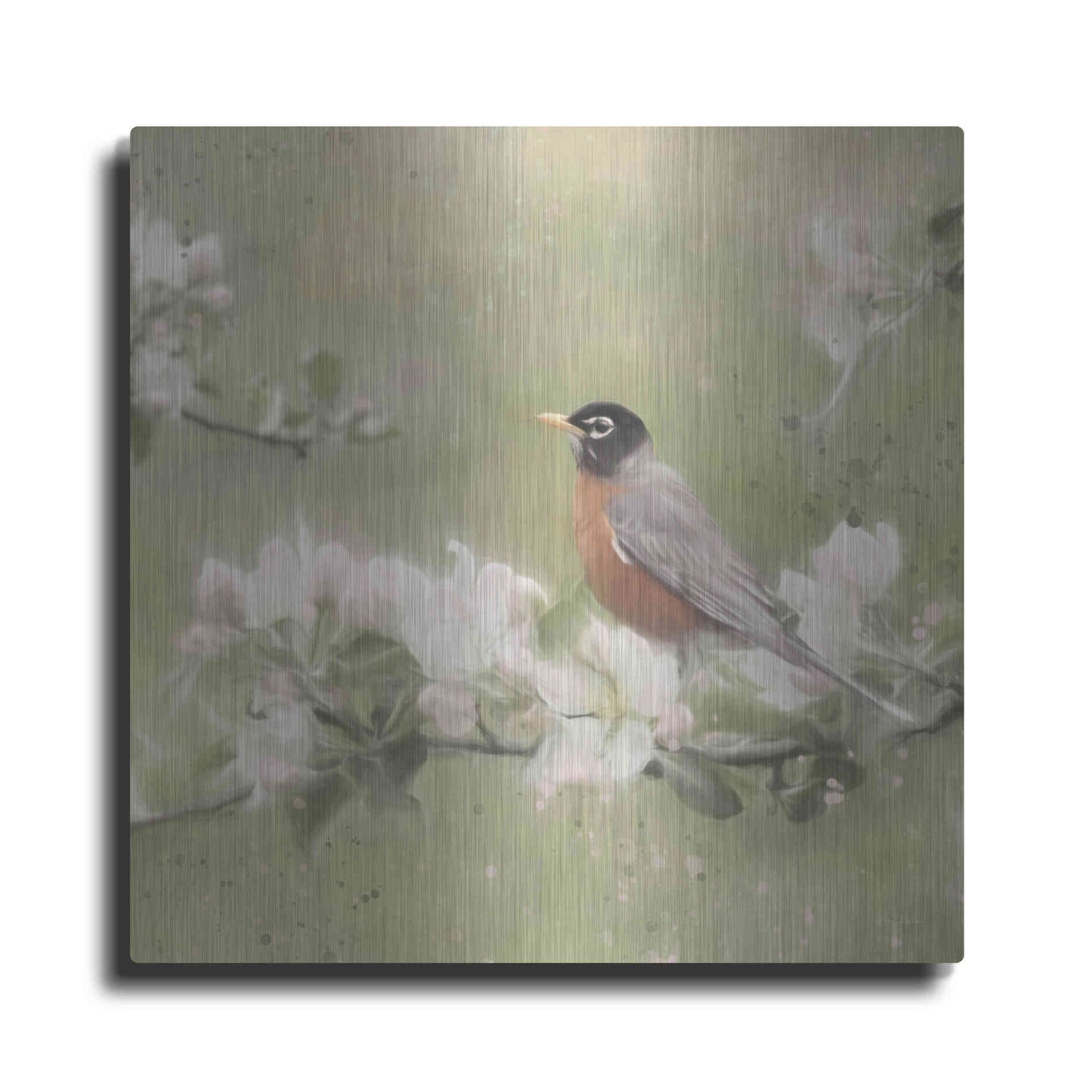 Luxe Metal Art 'Springtime Robin' by Lori Deiter, Metal Wall Art
