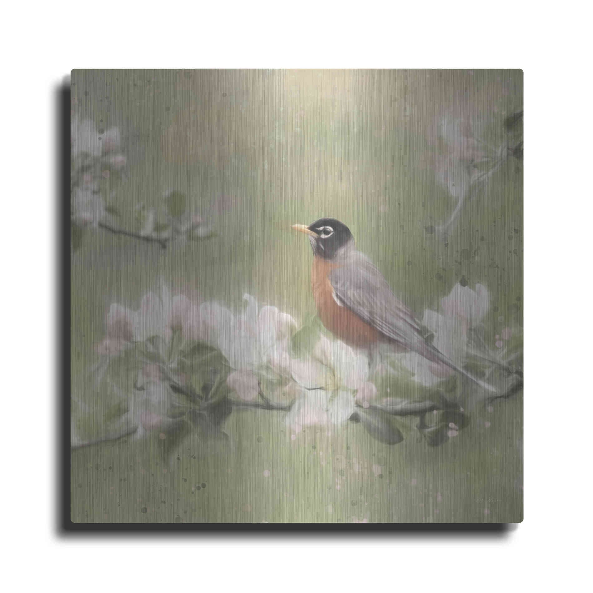 Luxe Metal Art 'Springtime Robin' by Lori Deiter, Metal Wall Art
