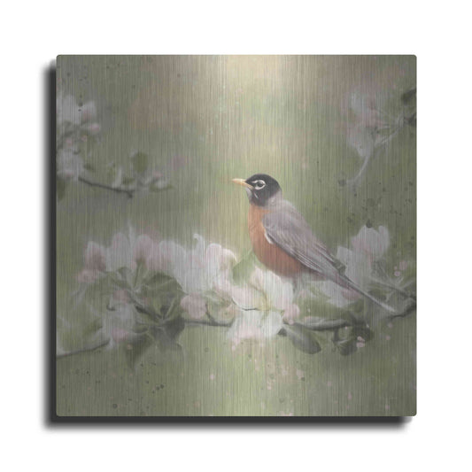 Luxe Metal Art 'Springtime Robin' by Lori Deiter, Metal Wall Art