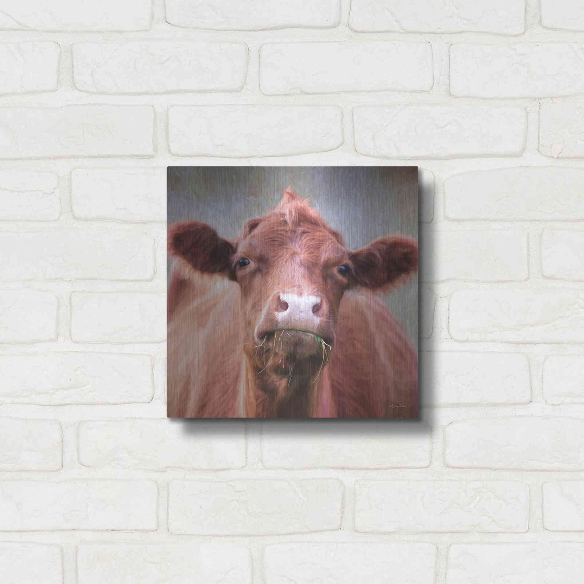 Luxe Metal Art 'The Brown Cow' by Lori Deiter, Metal Wall Art,12x12