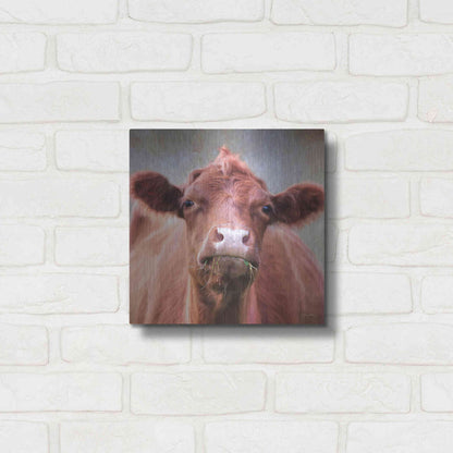 Luxe Metal Art 'The Brown Cow' by Lori Deiter, Metal Wall Art,12x12