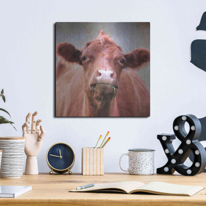 Luxe Metal Art 'The Brown Cow' by Lori Deiter, Metal Wall Art,12x12