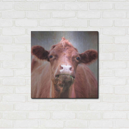 Luxe Metal Art 'The Brown Cow' by Lori Deiter, Metal Wall Art,24x24