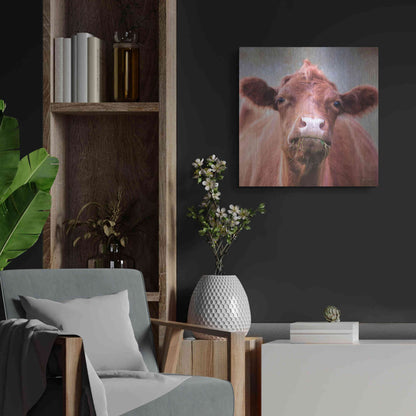 Luxe Metal Art 'The Brown Cow' by Lori Deiter, Metal Wall Art,24x24