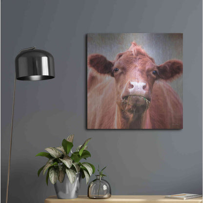 Luxe Metal Art 'The Brown Cow' by Lori Deiter, Metal Wall Art,24x24