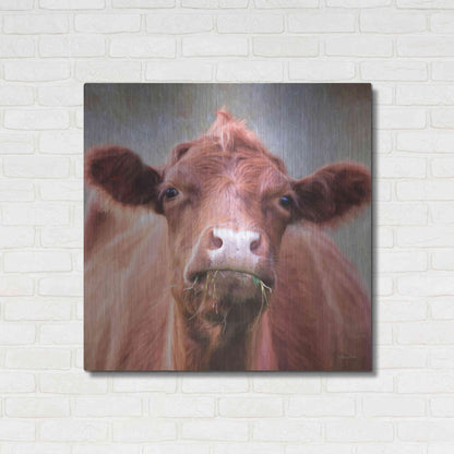 Luxe Metal Art 'The Brown Cow' by Lori Deiter, Metal Wall Art,36x36