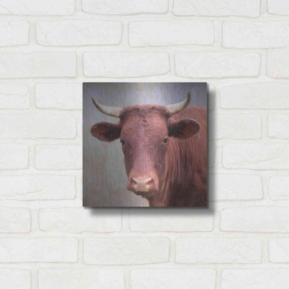 Luxe Metal Art 'Bull Face' by Lori Deiter, Metal Wall Art,12x12