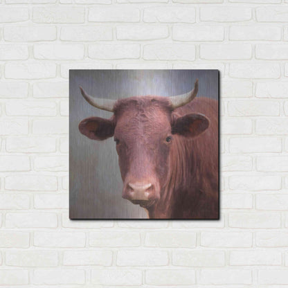 Luxe Metal Art 'Bull Face' by Lori Deiter, Metal Wall Art,24x24