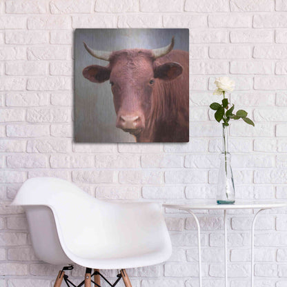 Luxe Metal Art 'Bull Face' by Lori Deiter, Metal Wall Art,24x24