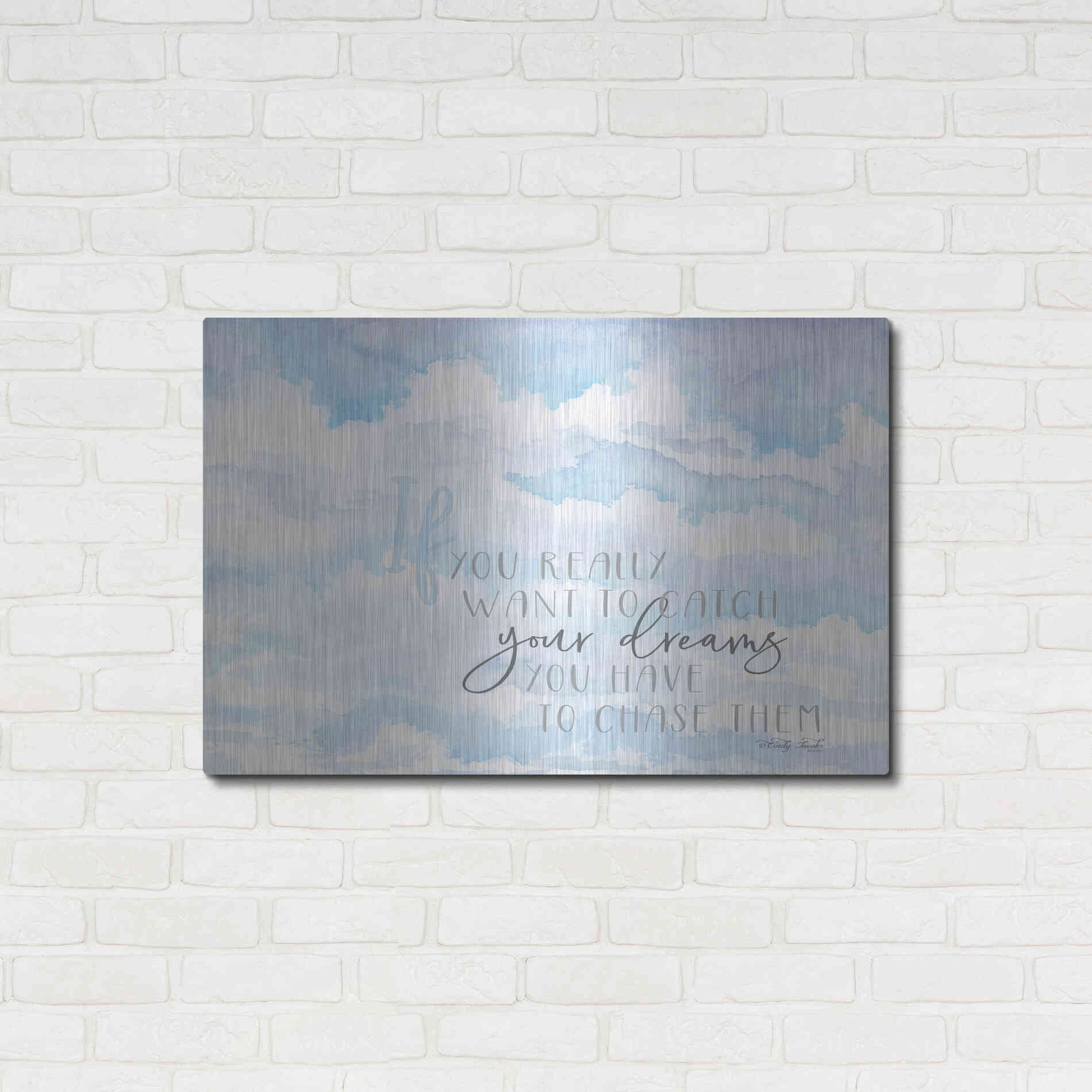 Luxe Metal Art 'Chase Your Dreams' by Cindy Jacobs, Metal Wall Art,36x24