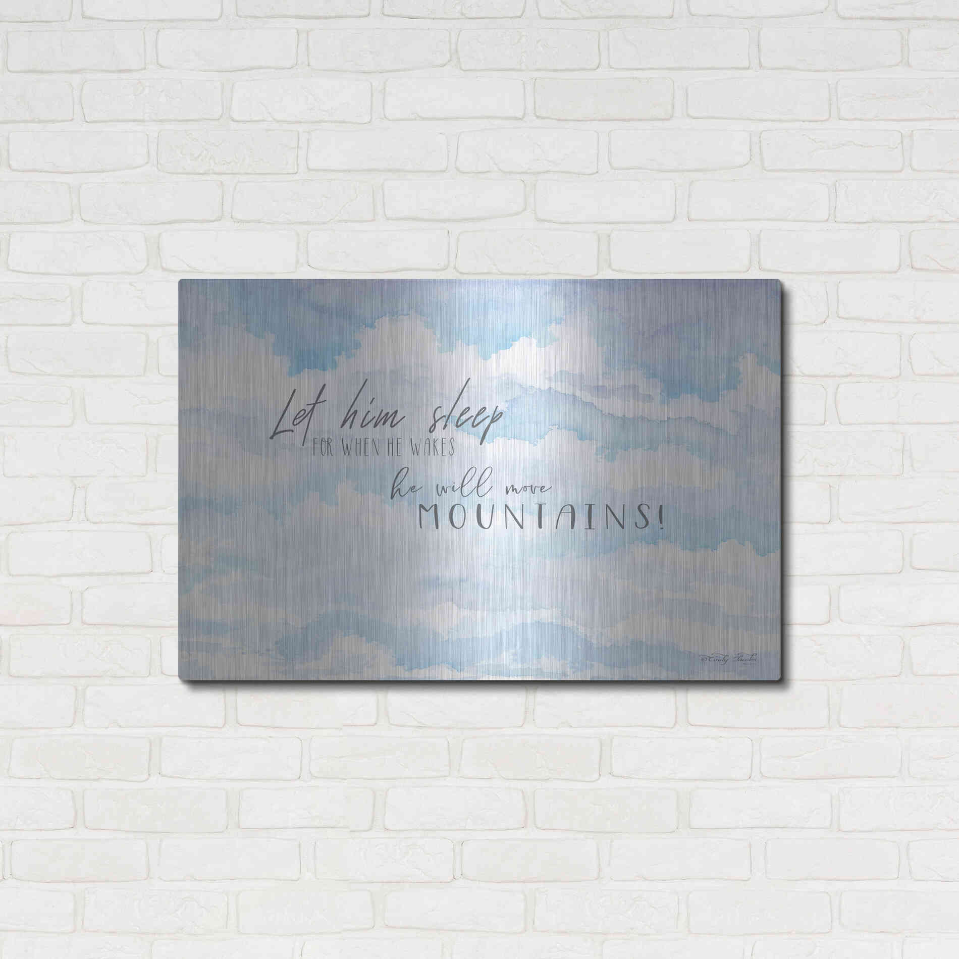 Luxe Metal Art 'Let Him Sleep' by Cindy Jacobs, Metal Wall Art,36x24