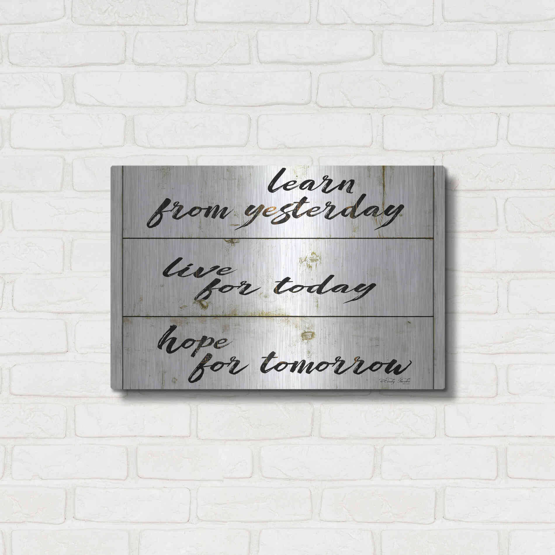 Luxe Metal Art 'Live for Today' by Cindy Jacobs, Metal Wall Art,24x16