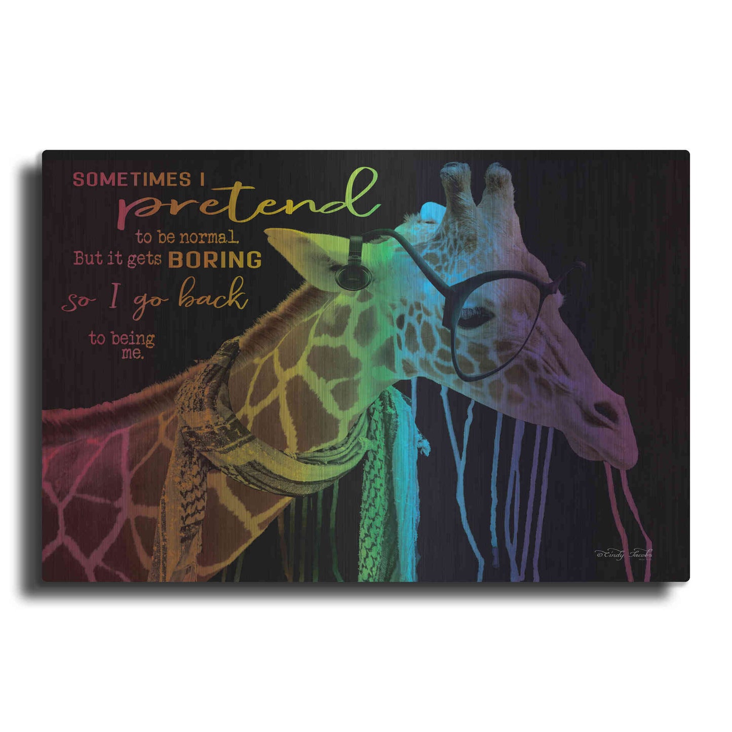 Luxe Metal Art 'Sometimes I Pretend' by Cindy Jacobs, Metal Wall Art