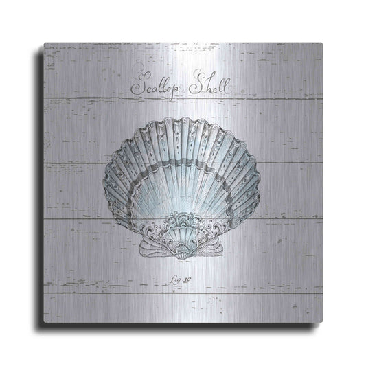 Luxe Metal Art 'Aqua Underwater Life VIII Shiplap' by Daphne Brissonet, Metal Wall Art