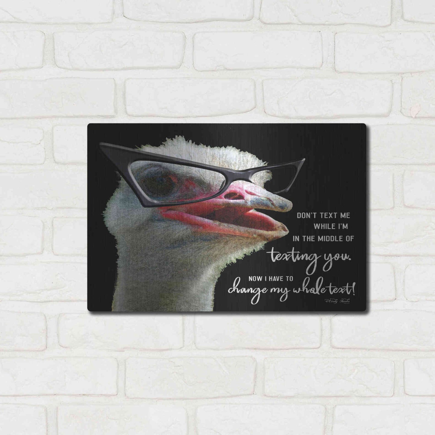 Luxe Metal Art 'Ostrich Don't Text Me' by Cindy Jacobs, Metal Wall Art,16x12