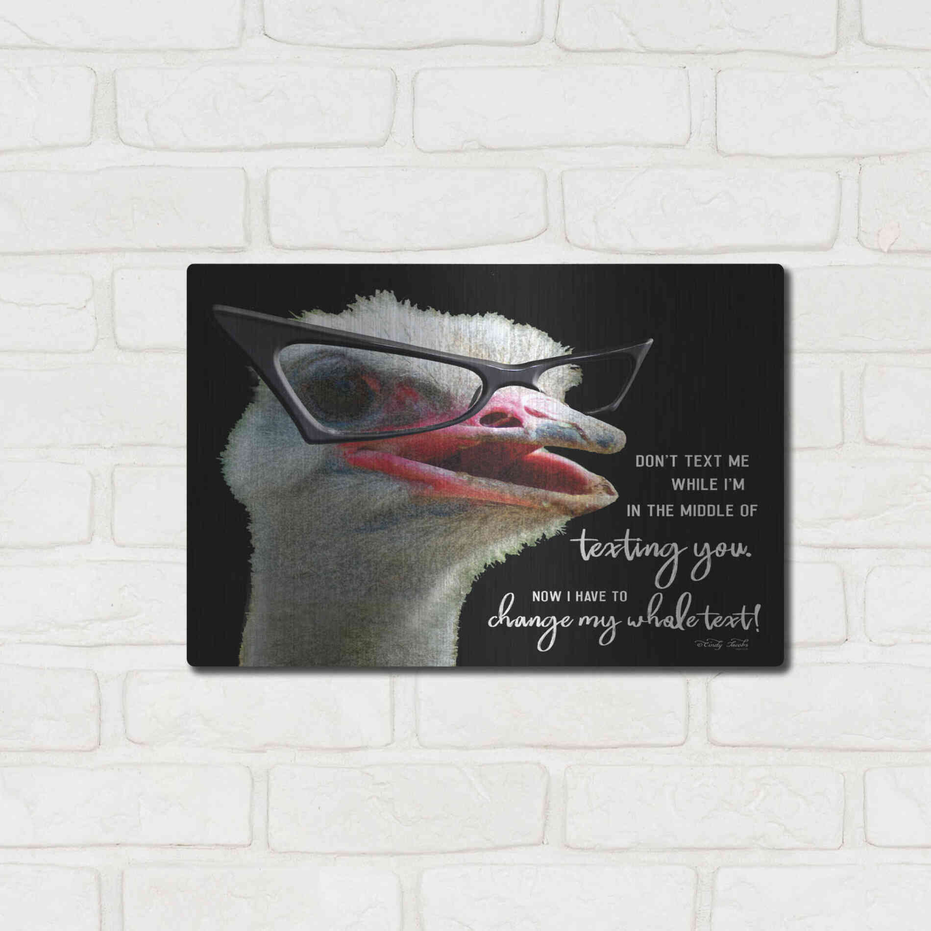 Luxe Metal Art 'Ostrich Don't Text Me' by Cindy Jacobs, Metal Wall Art,16x12