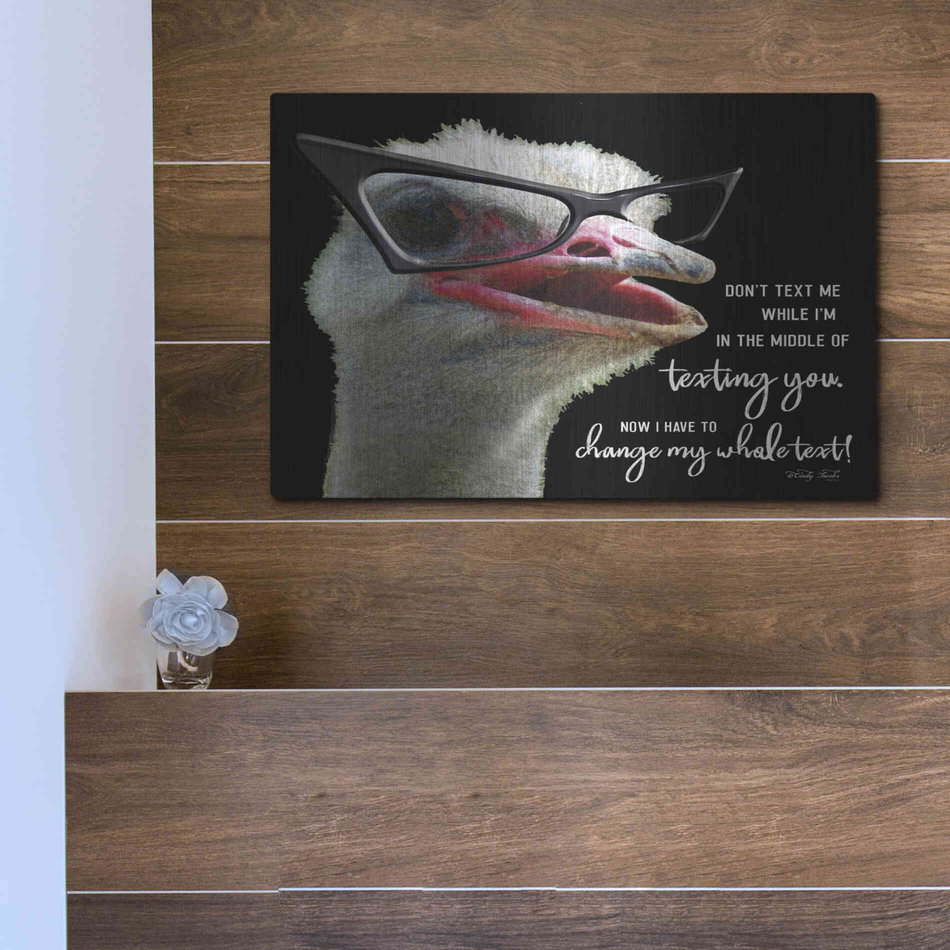 Luxe Metal Art 'Ostrich Don't Text Me' by Cindy Jacobs, Metal Wall Art,16x12