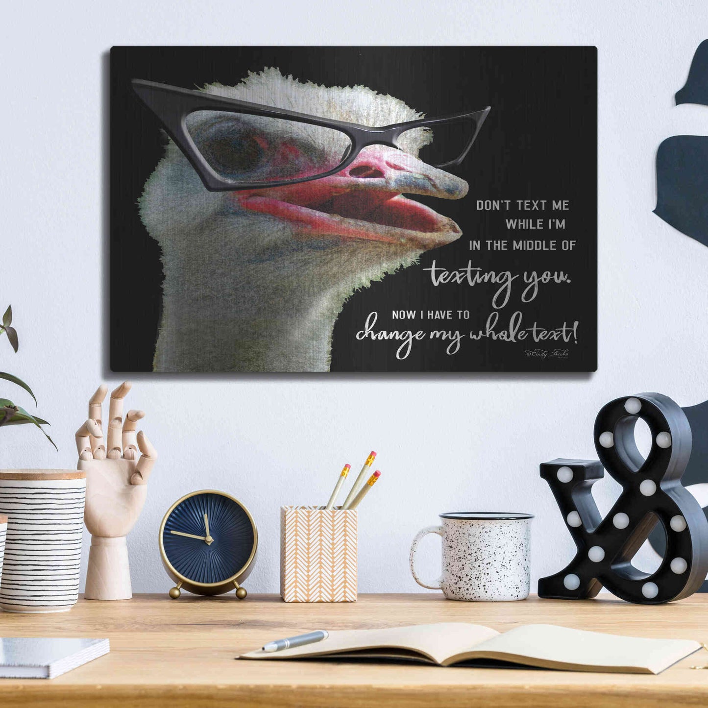 Luxe Metal Art 'Ostrich Don't Text Me' by Cindy Jacobs, Metal Wall Art,16x12