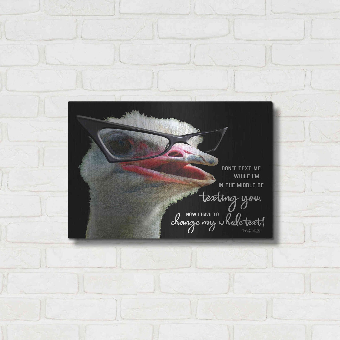Luxe Metal Art 'Ostrich Don't Text Me' by Cindy Jacobs, Metal Wall Art,24x16