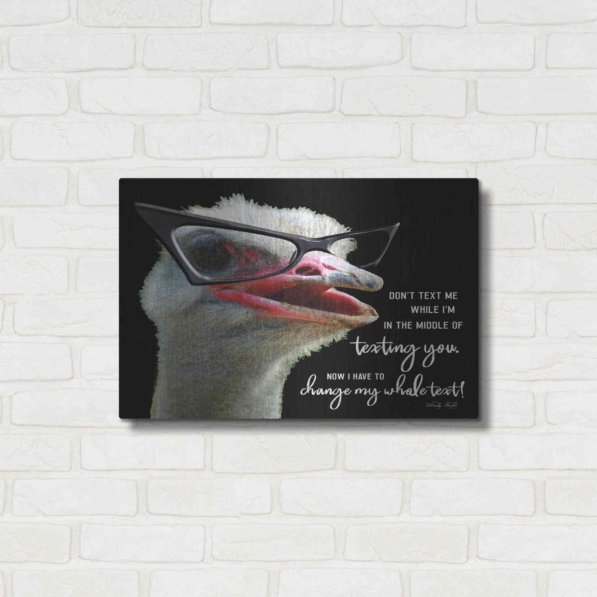 Luxe Metal Art 'Ostrich Don't Text Me' by Cindy Jacobs, Metal Wall Art,24x16