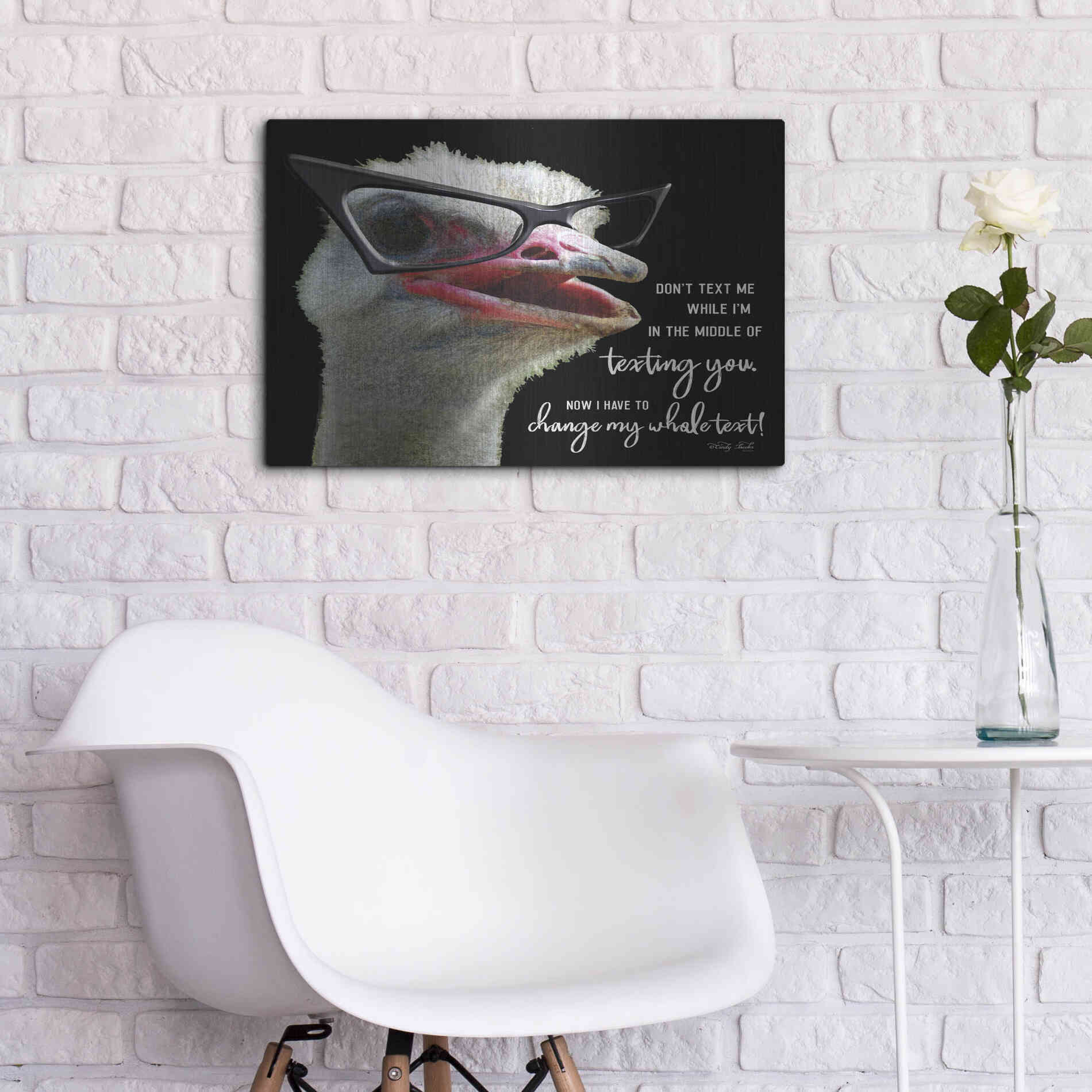 Luxe Metal Art 'Ostrich Don't Text Me' by Cindy Jacobs, Metal Wall Art,24x16