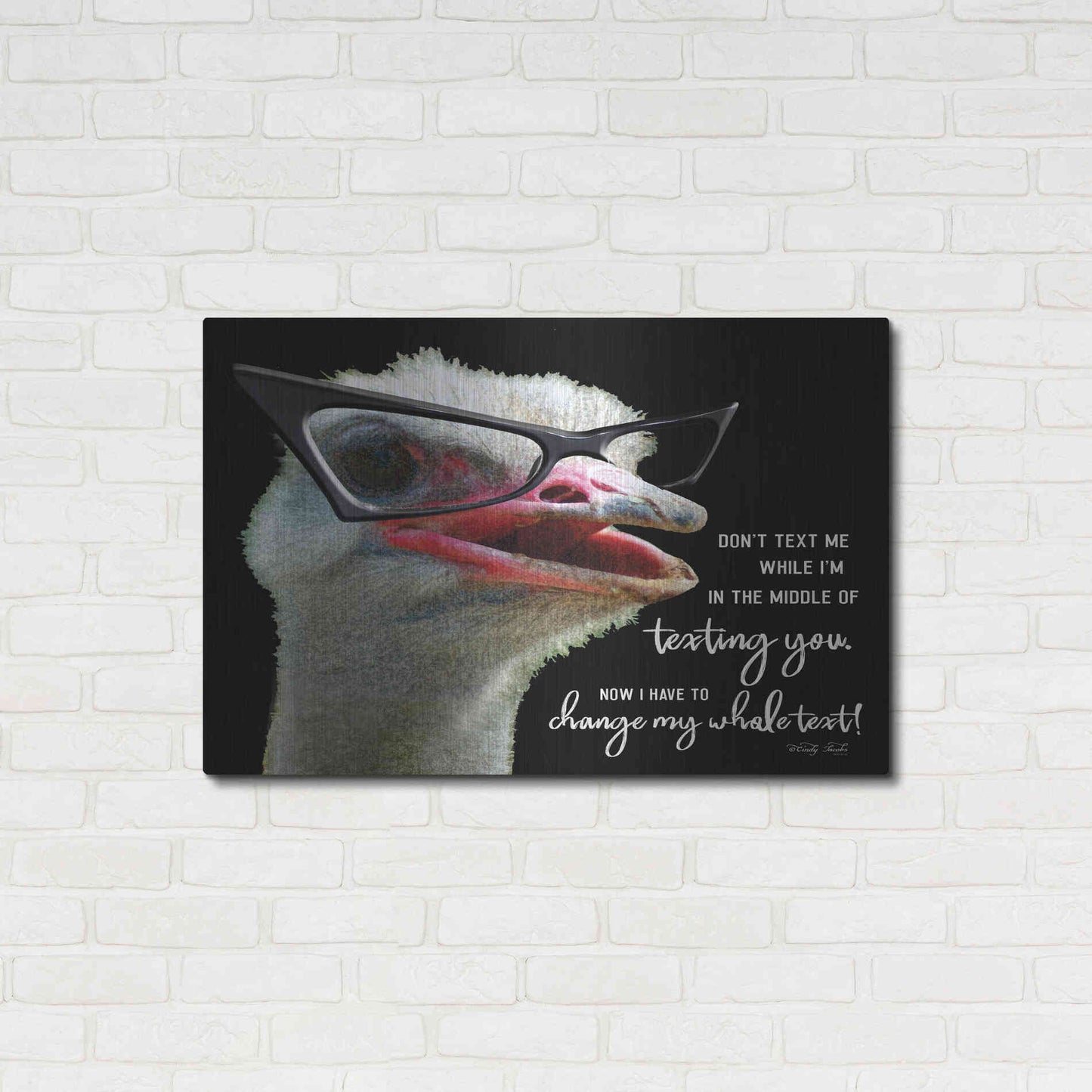 Luxe Metal Art 'Ostrich Don't Text Me' by Cindy Jacobs, Metal Wall Art,36x24