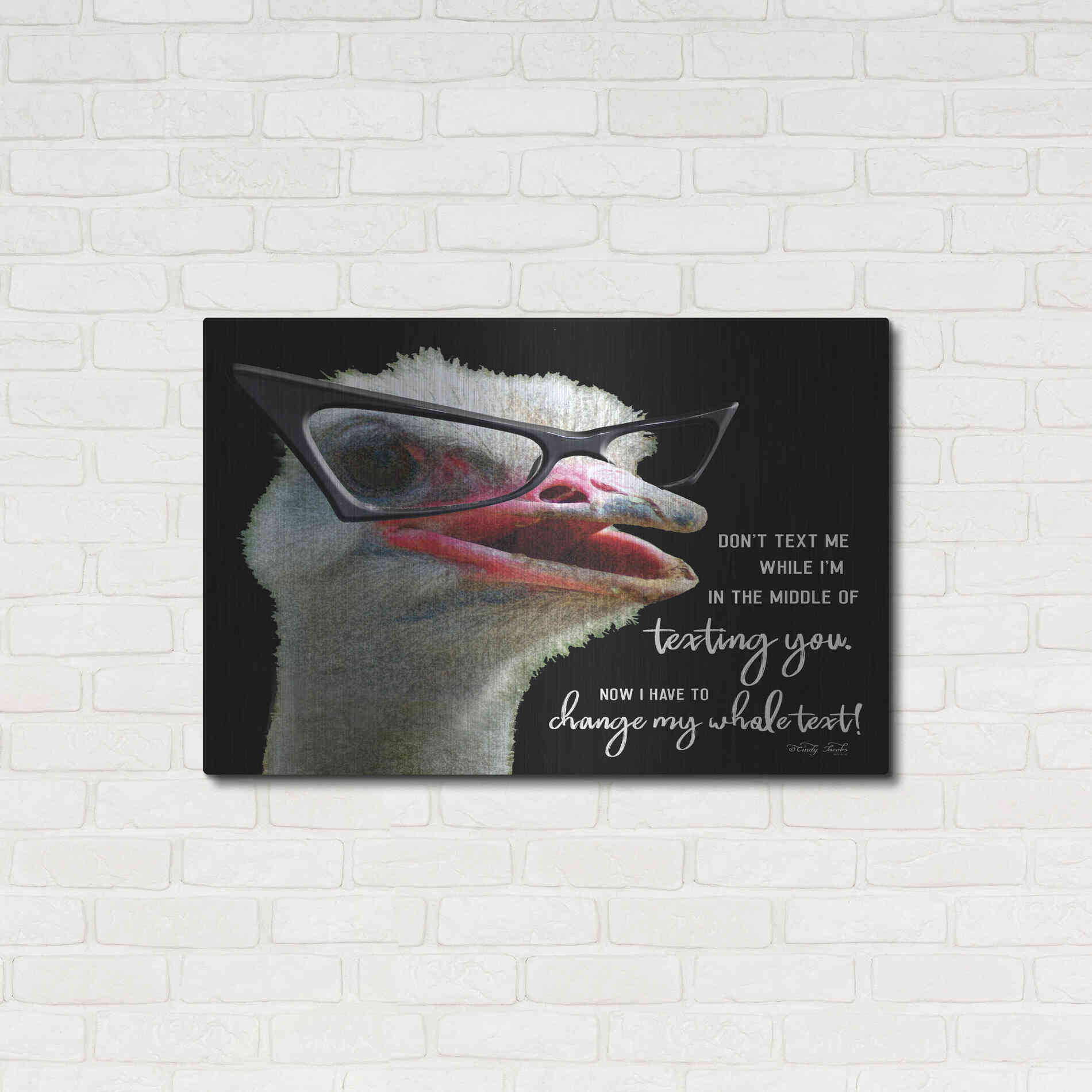 Luxe Metal Art 'Ostrich Don't Text Me' by Cindy Jacobs, Metal Wall Art,36x24