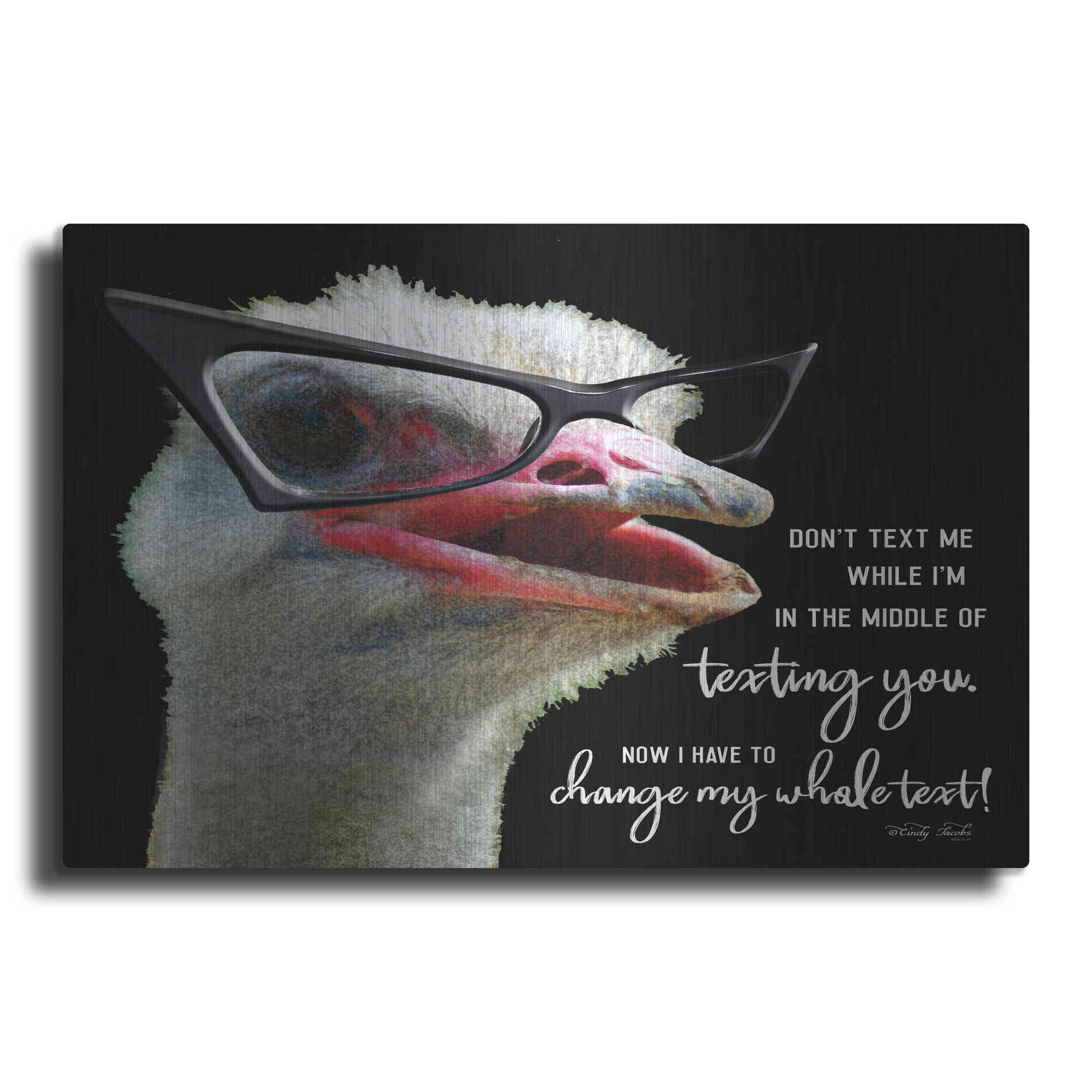 Luxe Metal Art 'Ostrich Don't Text Me' by Cindy Jacobs, Metal Wall Art