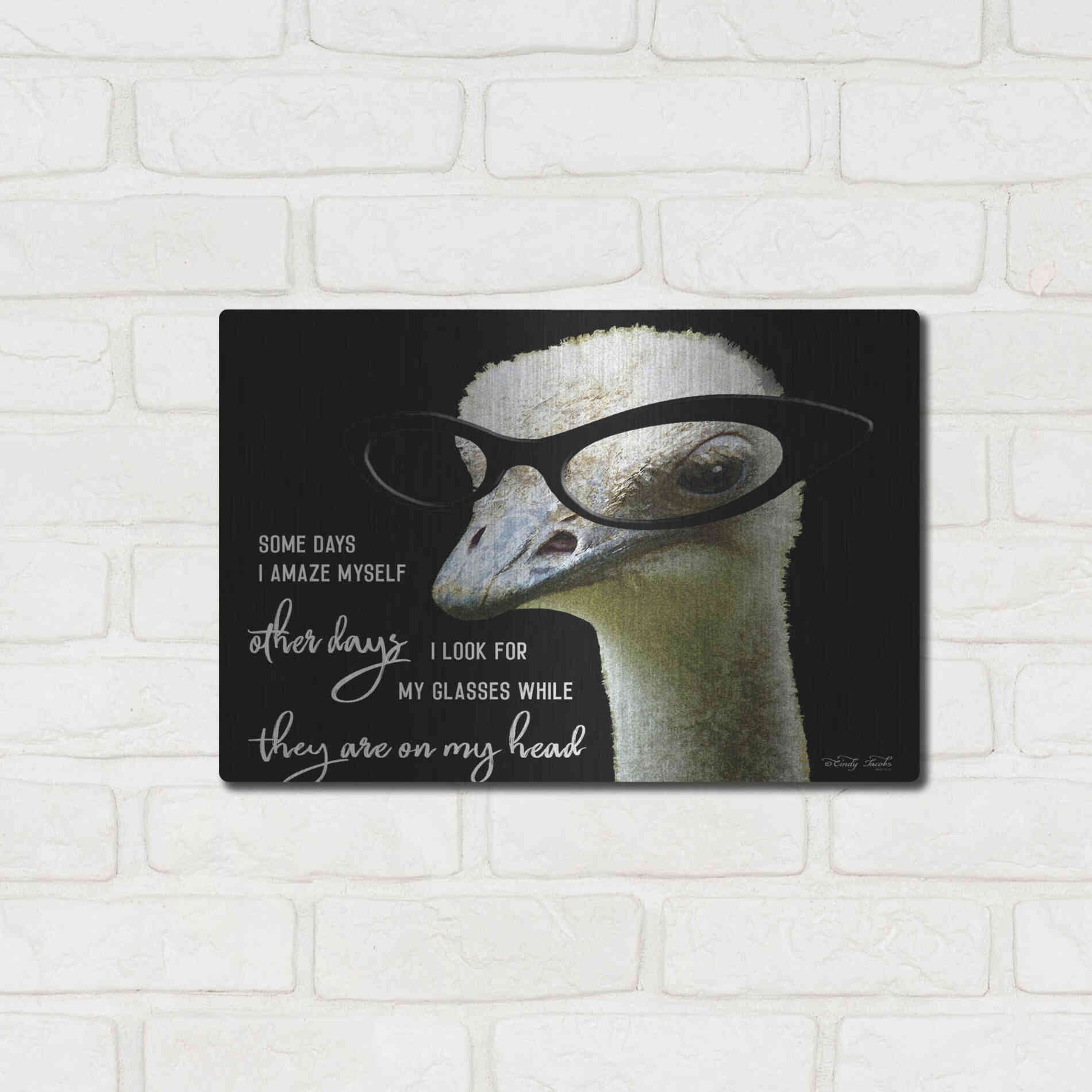 Luxe Metal Art 'Ostrich Some Days I Amaze Myself' by Cindy Jacobs, Metal Wall Art,16x12