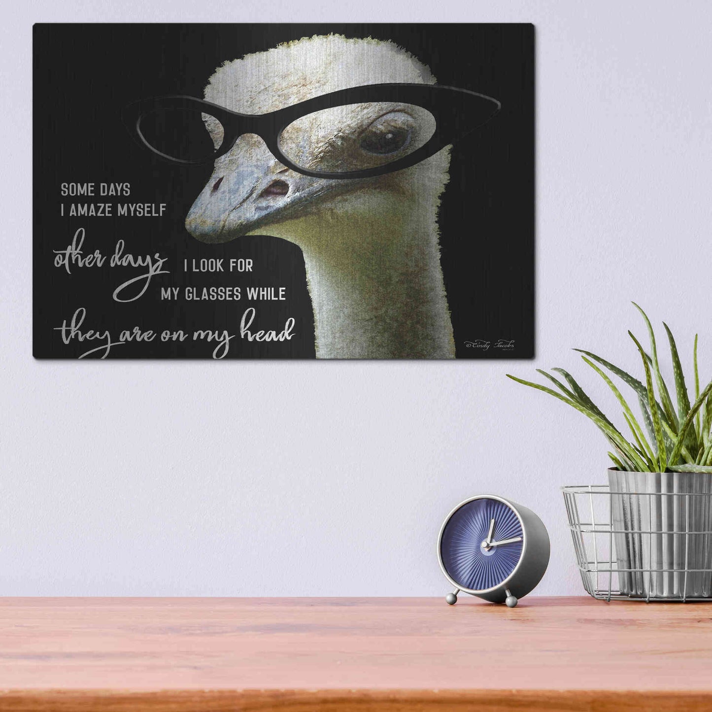 Luxe Metal Art 'Ostrich Some Days I Amaze Myself' by Cindy Jacobs, Metal Wall Art,16x12