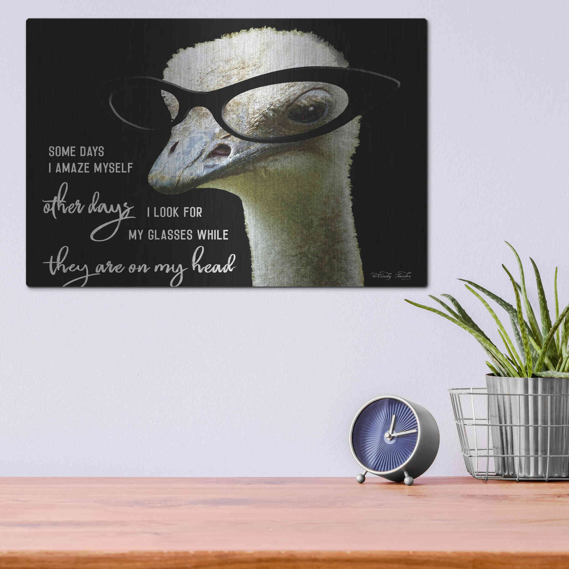 Luxe Metal Art 'Ostrich Some Days I Amaze Myself' by Cindy Jacobs, Metal Wall Art,16x12