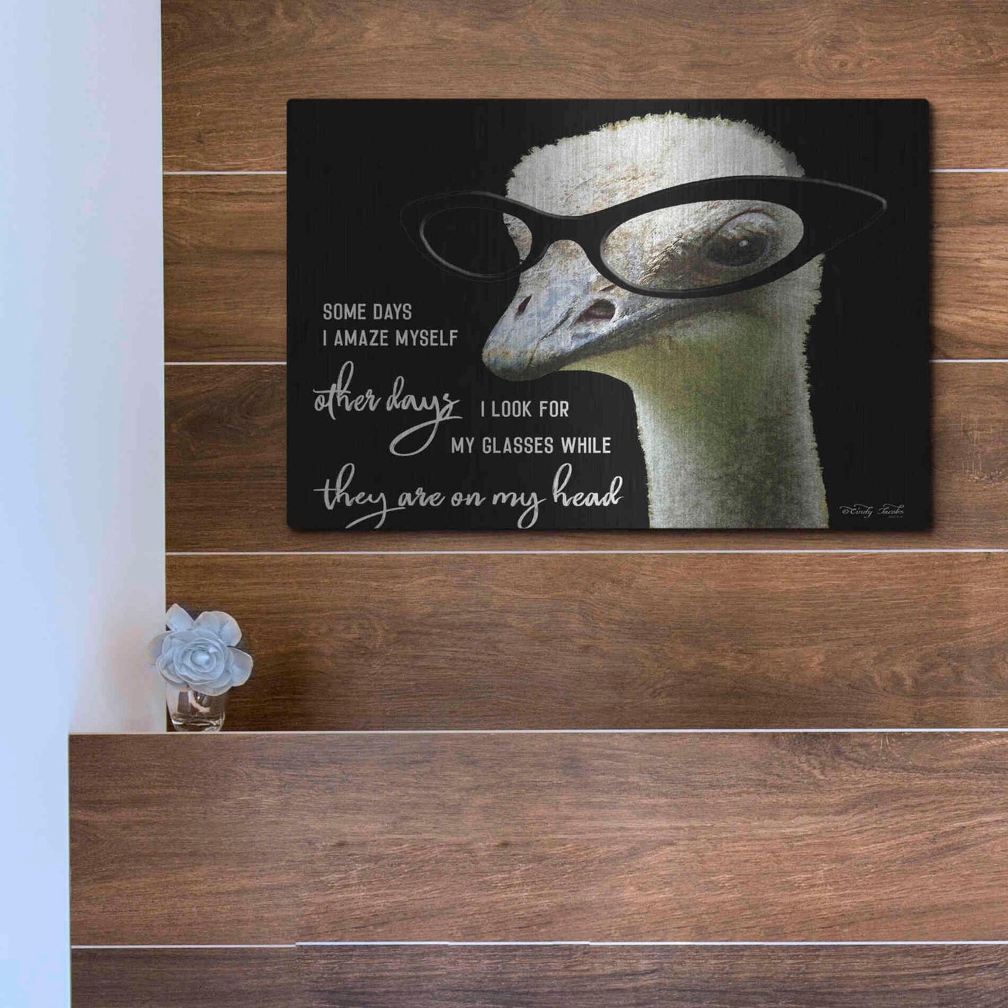 Luxe Metal Art 'Ostrich Some Days I Amaze Myself' by Cindy Jacobs, Metal Wall Art,16x12