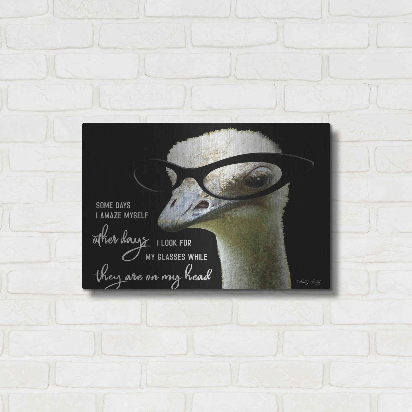 Luxe Metal Art 'Ostrich Some Days I Amaze Myself' by Cindy Jacobs, Metal Wall Art,24x16