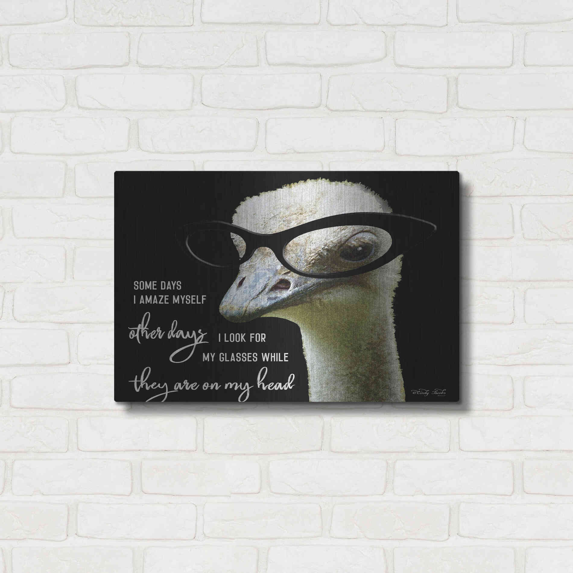 Luxe Metal Art 'Ostrich Some Days I Amaze Myself' by Cindy Jacobs, Metal Wall Art,24x16