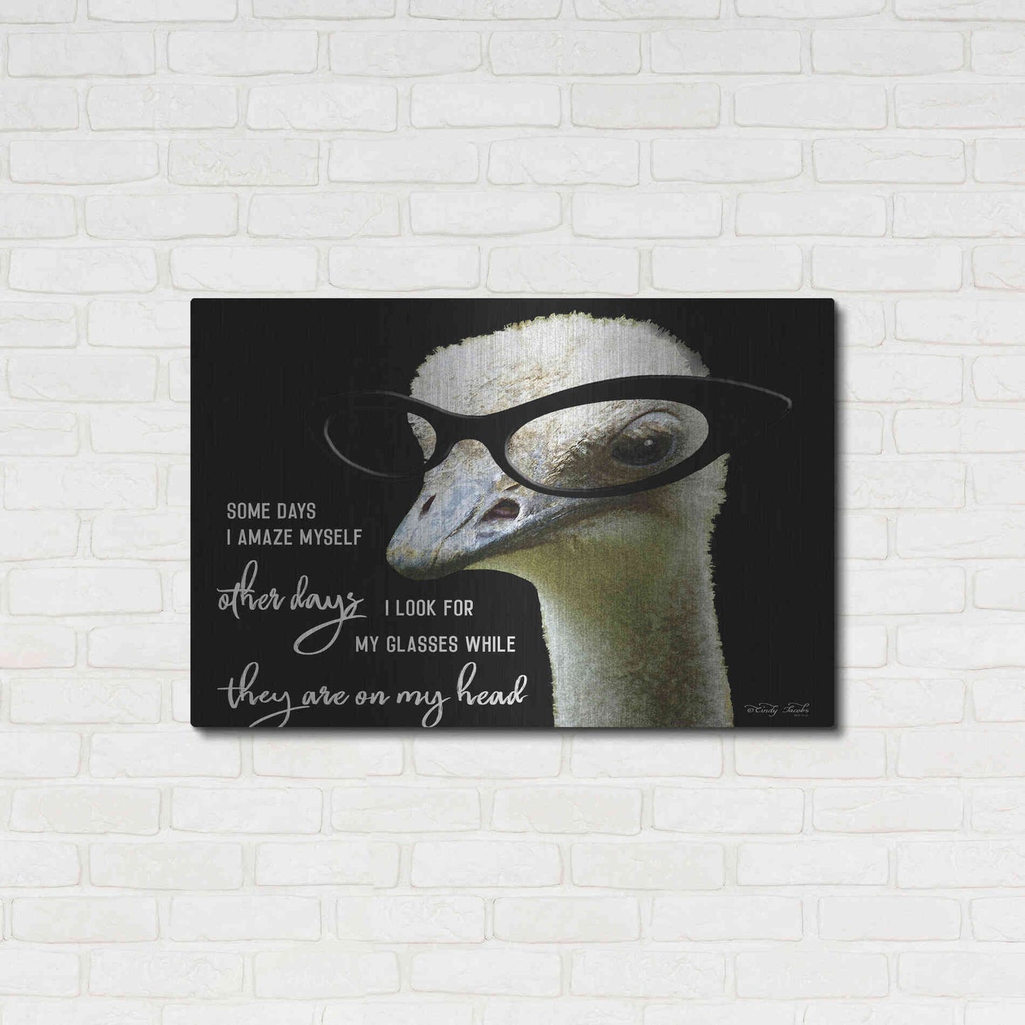 Luxe Metal Art 'Ostrich Some Days I Amaze Myself' by Cindy Jacobs, Metal Wall Art,36x24