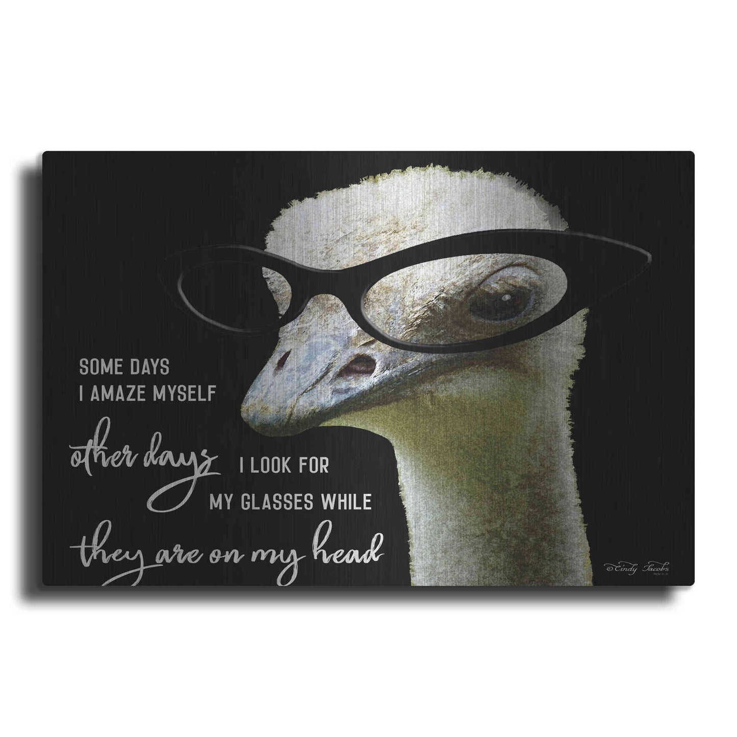 Luxe Metal Art 'Ostrich Some Days I Amaze Myself' by Cindy Jacobs, Metal Wall Art