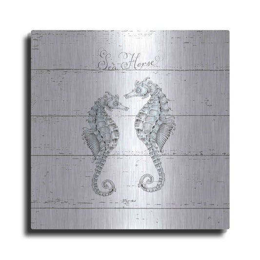 Luxe Metal Art 'Aqua Underwater Life V Shiplap' by Daphne Brissonet, Metal Wall Art