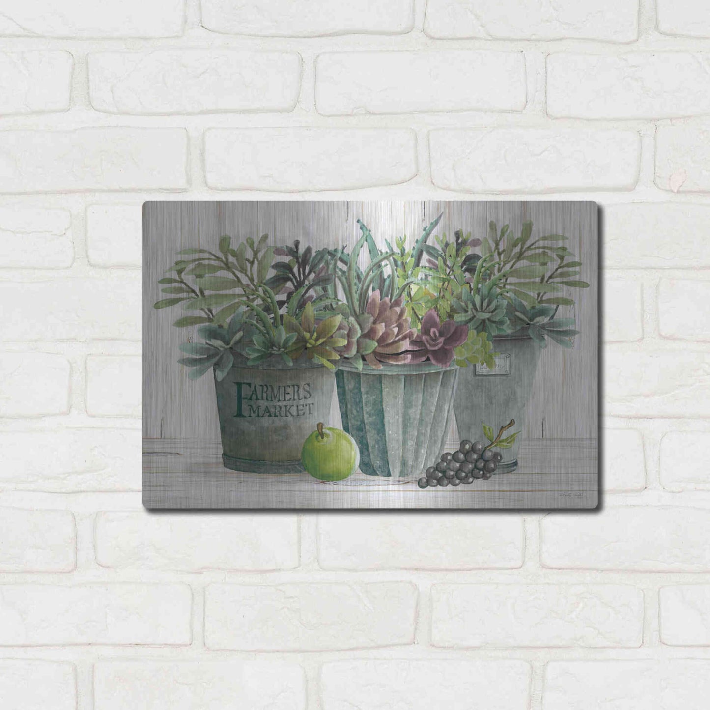Luxe Metal Art 'Farmer Market Succulent Harvest' by Cindy Jacobs, Metal Wall Art,16x12