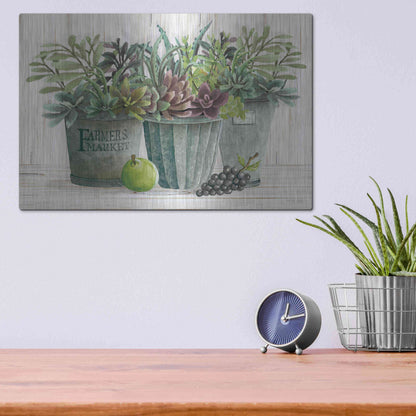 Luxe Metal Art 'Farmer Market Succulent Harvest' by Cindy Jacobs, Metal Wall Art,16x12