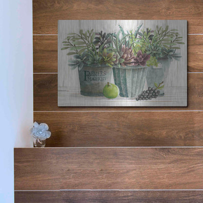 Luxe Metal Art 'Farmer Market Succulent Harvest' by Cindy Jacobs, Metal Wall Art,16x12