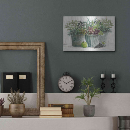 Luxe Metal Art 'Farmer Market Succulent Harvest' by Cindy Jacobs, Metal Wall Art,16x12