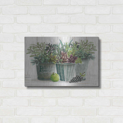 Luxe Metal Art 'Farmer Market Succulent Harvest' by Cindy Jacobs, Metal Wall Art,24x16