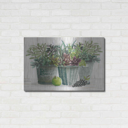 Luxe Metal Art 'Farmer Market Succulent Harvest' by Cindy Jacobs, Metal Wall Art,36x24