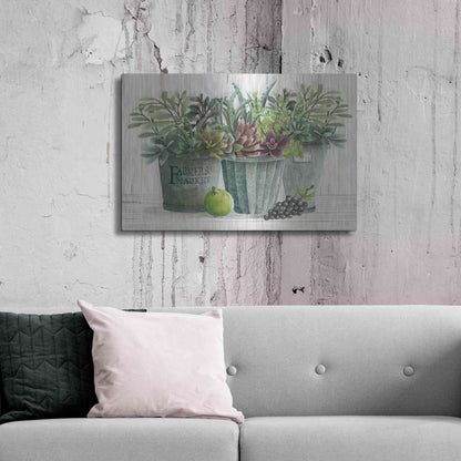 Luxe Metal Art 'Farmer Market Succulent Harvest' by Cindy Jacobs, Metal Wall Art,36x24