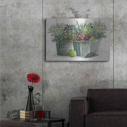 Luxe Metal Art 'Farmer Market Succulent Harvest' by Cindy Jacobs, Metal Wall Art,36x24