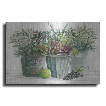 Luxe Metal Art 'Farmer Market Succulent Harvest' by Cindy Jacobs, Metal Wall Art