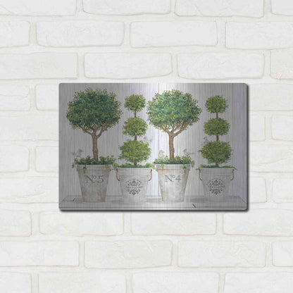 Luxe Metal Art 'Topiary Still Life' by Cindy Jacobs, Metal Wall Art,16x12